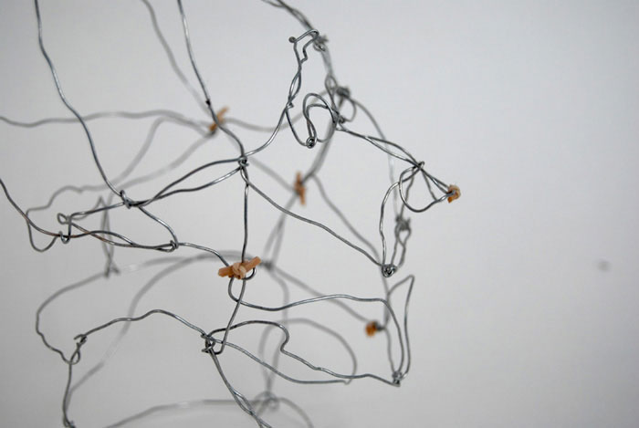 Drawing made with metal wire and elastic bands, 2008