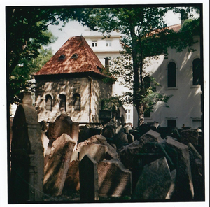 Lubitel 2 picture